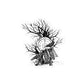Memento Mori - Bubble-free sticker
